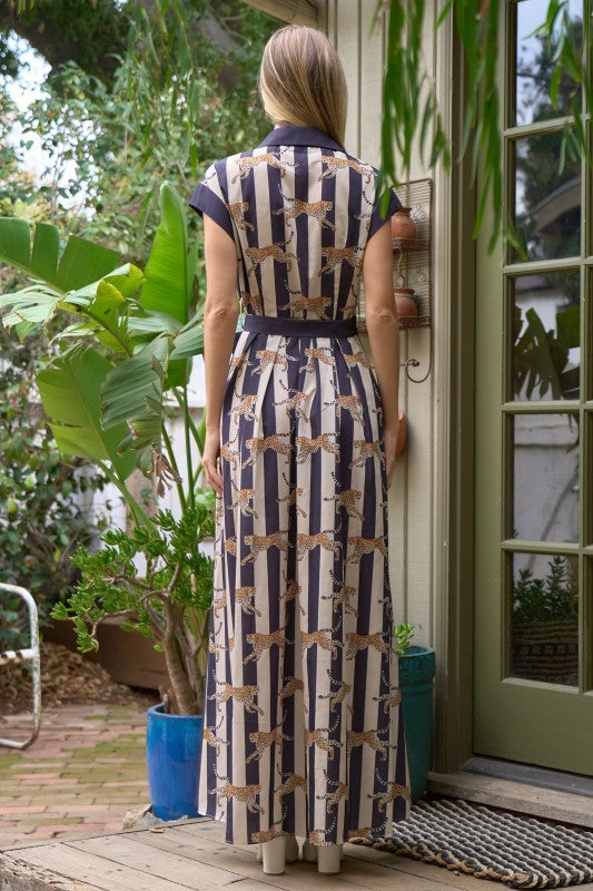 Leopard stripe button up maxi dress
