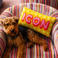 Icon Pillow