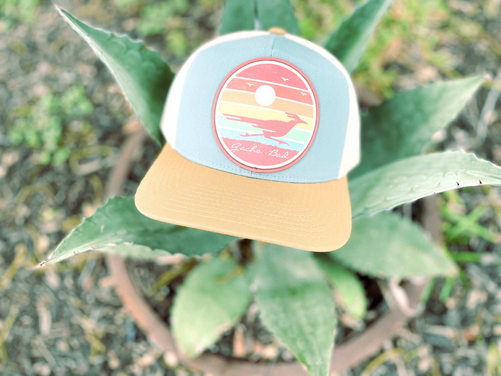 GB roadrunner hat